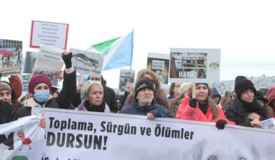 İstanbul’da hayvanseverlerden sokak köpeği eylemi