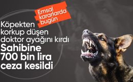 Samsun’da köpekten korkup düşen doktor ayağını kırdı: Mahkeme sahibine 700 bin TL’ye yakın ceza verdi