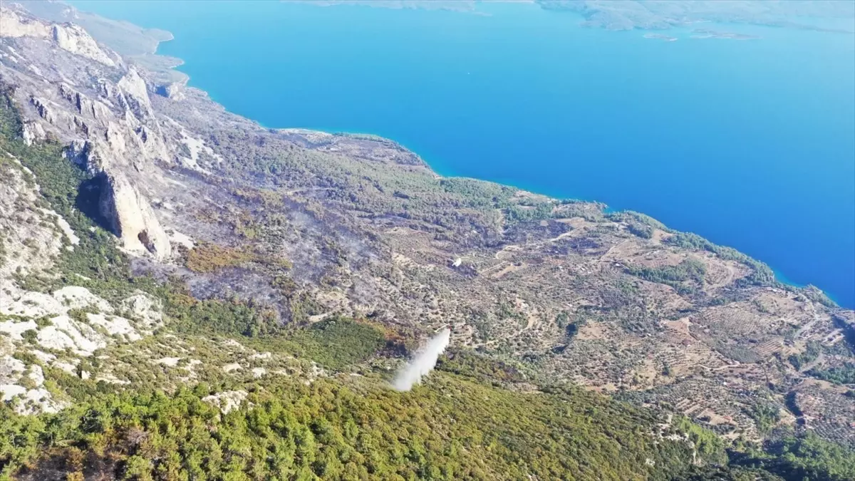 Menteşe’deki Orman Yangını Kontrol Altına Alındı